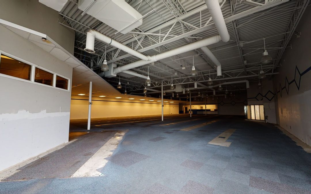 DOLLAR TREE – NEW ALBANY, IN – D12286